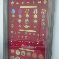 Стенд для коллекции значков, медалей и нагрудных знаков.